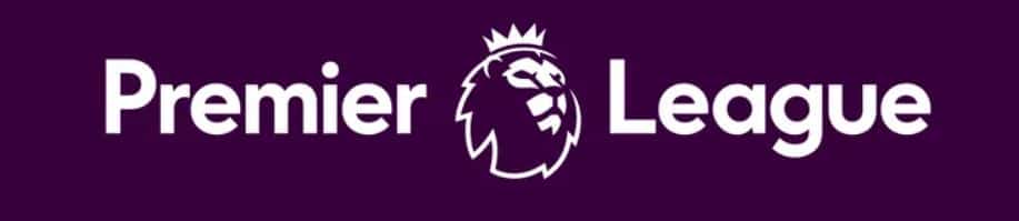 Stadiums in the Premier League - Premier League Logo Banner